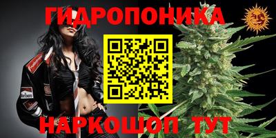 крисы Севастополь